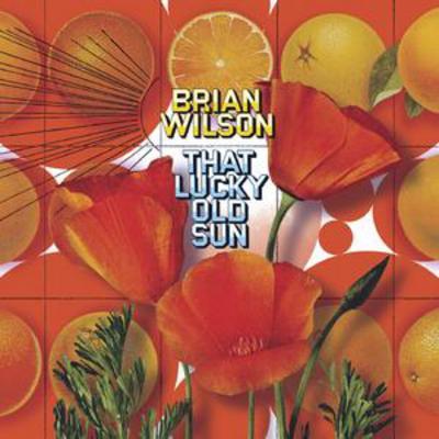 Brian Wilson - That Lucky Old Sun [cd + Dvd] CD Album - Used